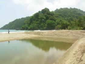 Grand Riviere, Trinidad 2012 