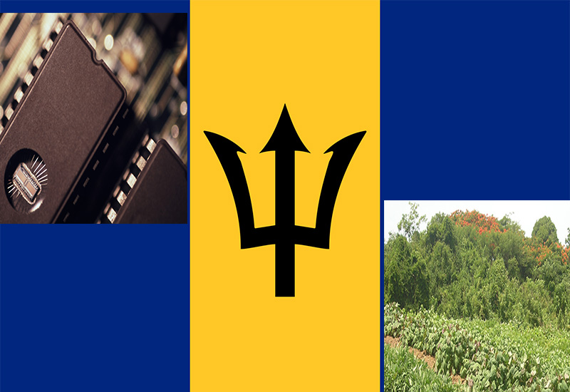 Barbados flag, digital and farming images