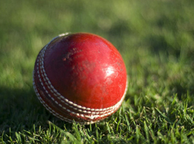 cricket ball